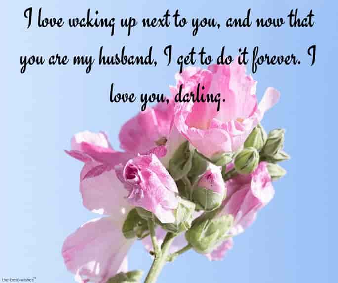 loving-you-good-morning-messages-for-him-with-pink-rose loving you good morning messages for him with pink rose