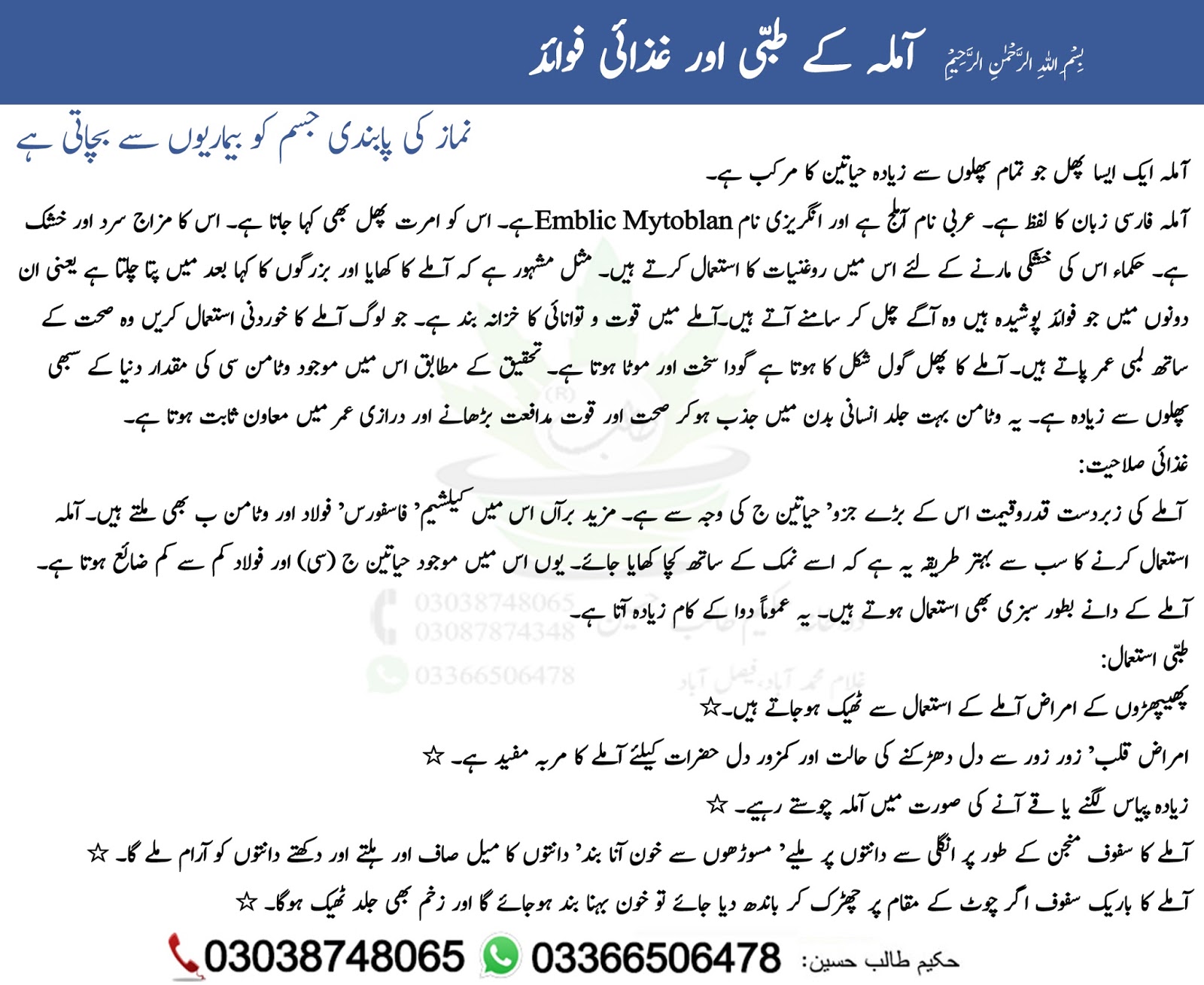 Amla Murabba Benefits In Urdu 2025