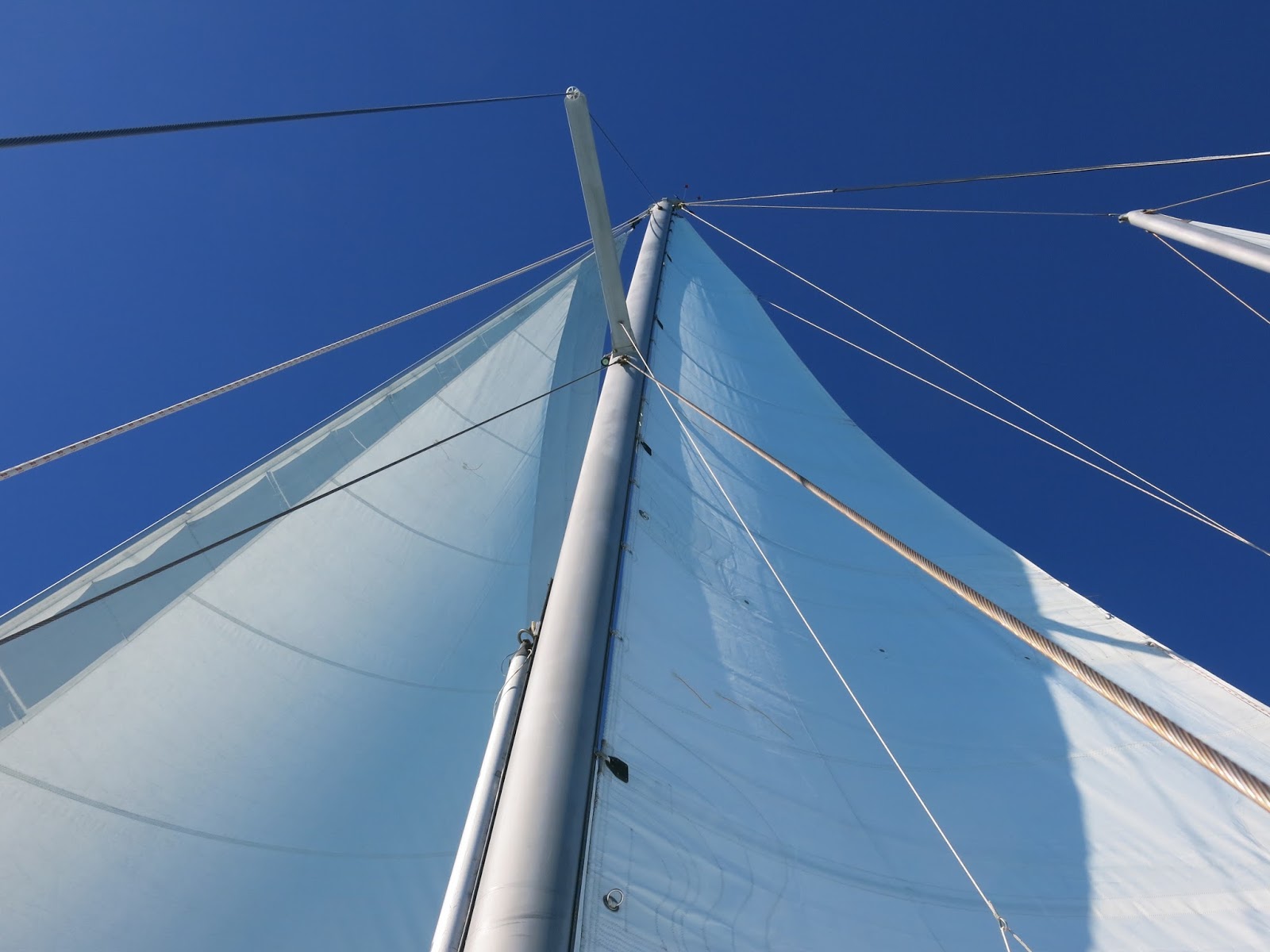 LEARN TO SAIL TODAY...