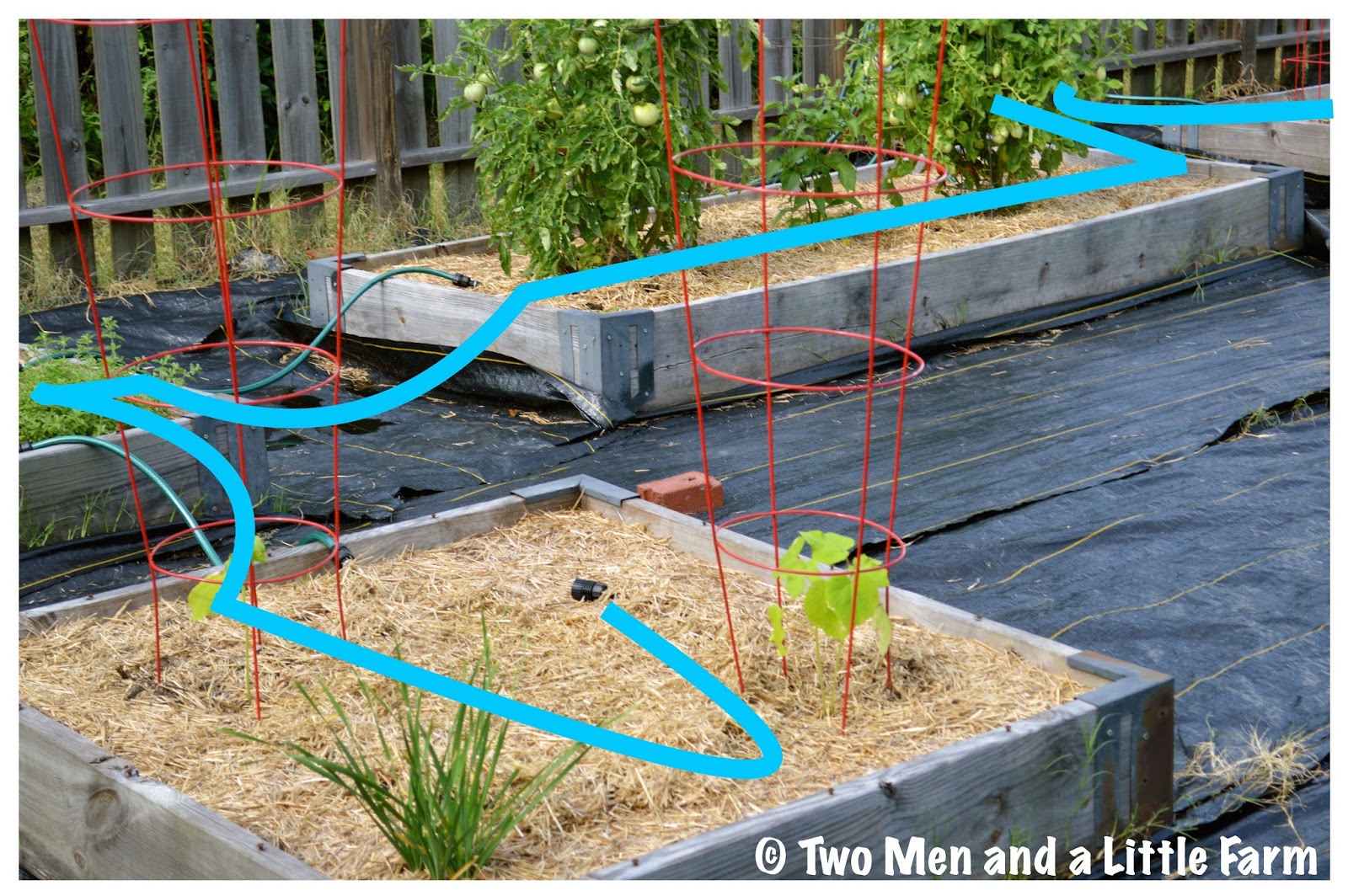 Two Men and a Little Farm: SNIP N DRIP RAISED BED GARDEN IRRIGATION