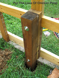 chicken coop anchor floor poop sitting