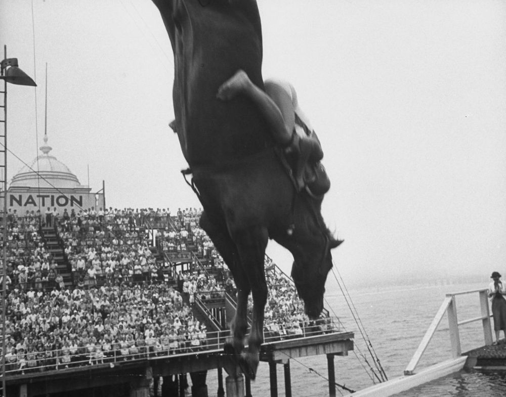 20 Incredible Vintage Photographs of Women Diving Horses in Atlantic City From the Early 20th