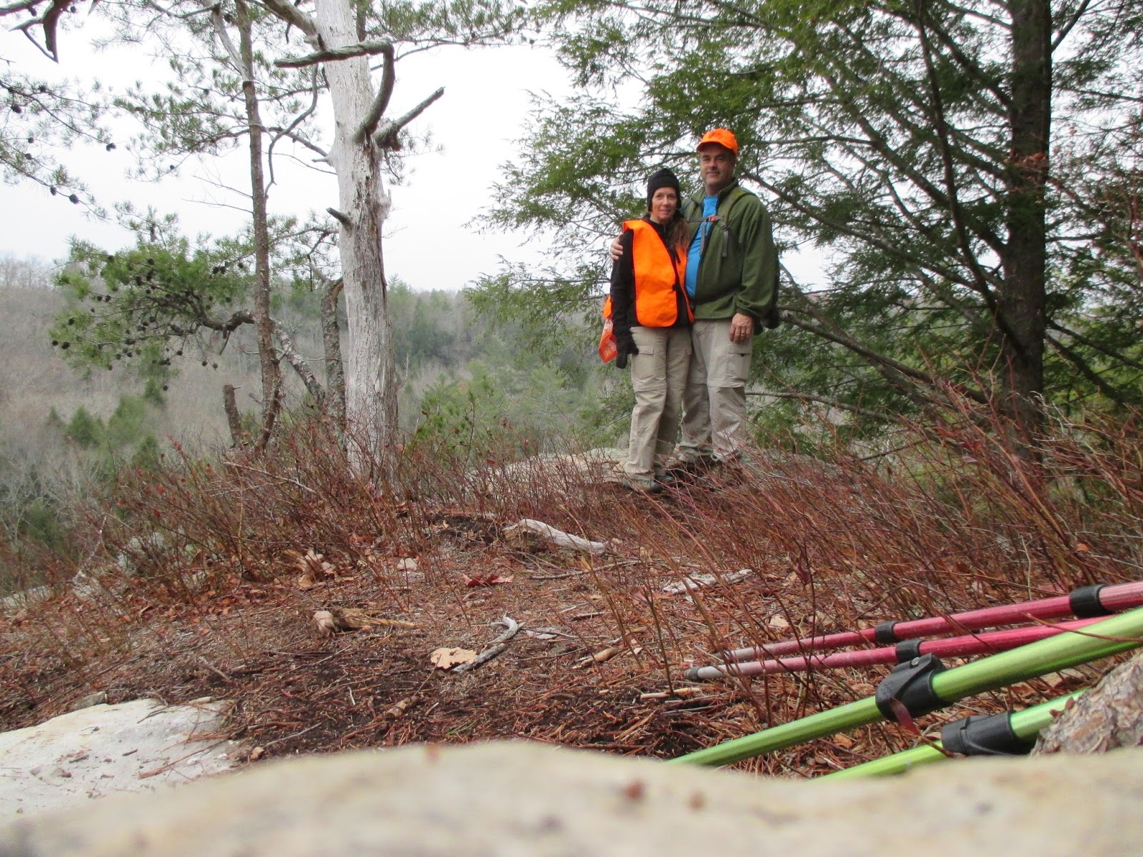 Craig's Hikes Daddy's Creek/ Crab Orchard Mt. Segment Cumberland Trail