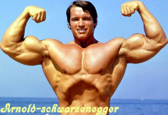Arnold Schwarzenegger Body Building Arnold Schwarzenegger Body Building
