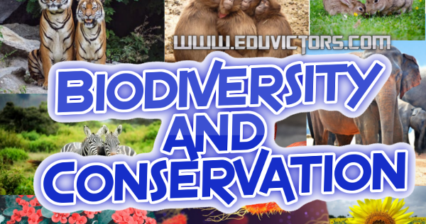 26 Chapter 5 Biological Diversity And Conservation Worksheet Answers