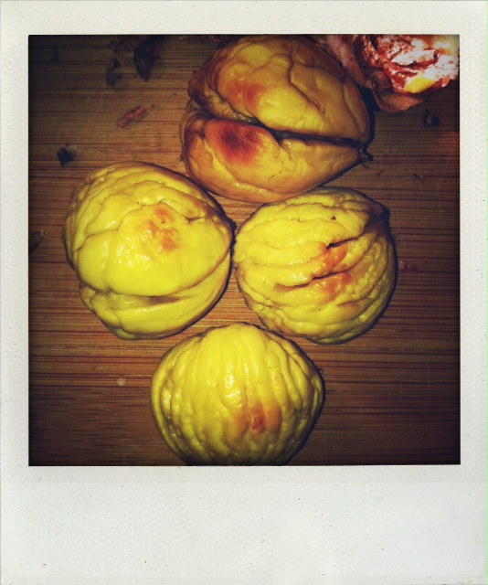 Trader Joe's Prose (and cons) Fresh Italian Chestnuts