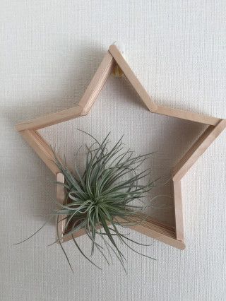 アイスキャンディーの棒で作るハニカムウォールラック, Handmade honeycomb wall rack by popsticks, 棒冰的棒变为六角形挂墙木架