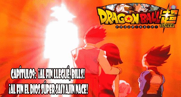 Dragon Ball Super capitulo 9 Ver capitulo 9 online gratis, Goku llama a Sheng Long con la esferas del Dragón y le pide que traiga al Dios Súper Saiyajin.