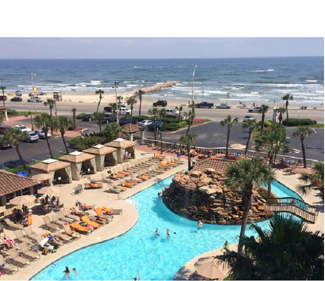 Explore the best property with Professional Diamond Beach Real Estate