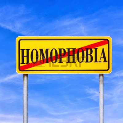 Informe anual homofòbia 2013