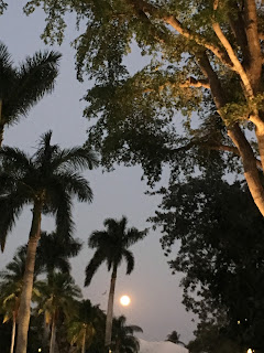 Full Moon Magic