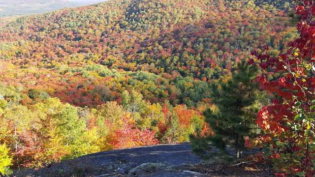 Vue panoramique à partir du sommet La Pinède