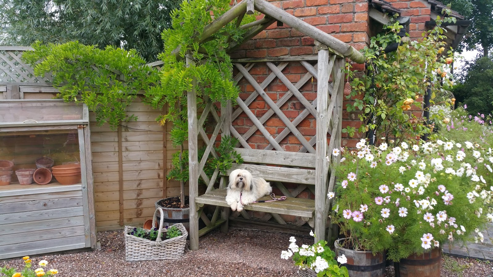 Bridgemere Garden Centre Nantwich Cheshire Paws across Britain