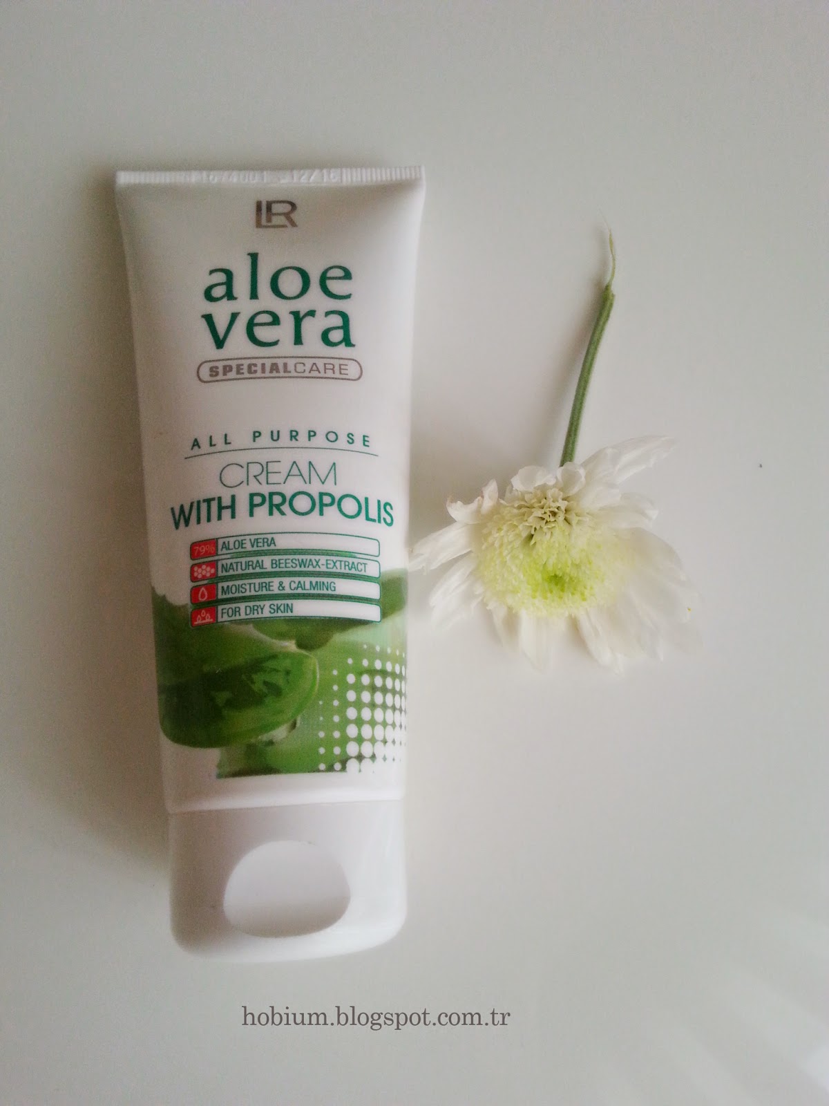 Evde Aloe Vera Bakımı İpuçları ve Kullanım Alanları Evde Aloe Vera Bakımı İpuçları ve Kullanım Alanları