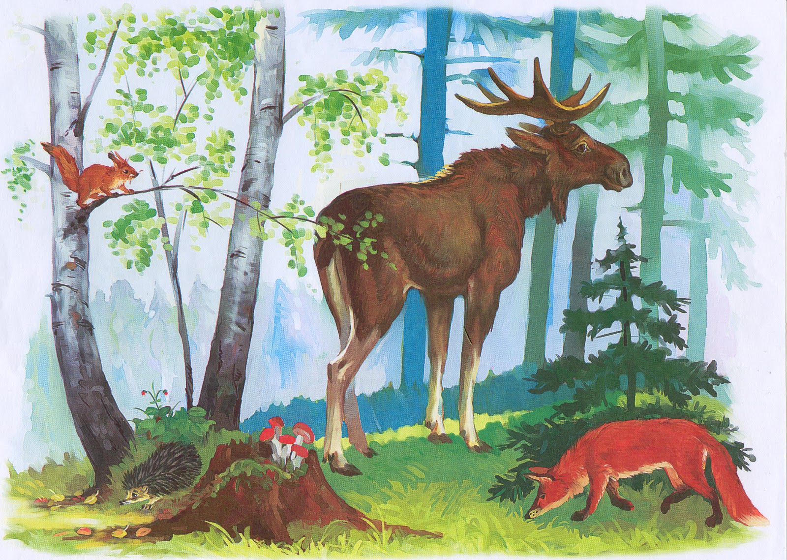 Диких животных класс. Лес с дикими животными. Иллюстрации с дикими животными. Дикие животные в лесу для детей. Животные наших лесов.