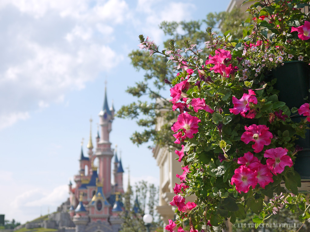 Fond d'écran #2 de AOÛT 2013, avec et sans le calendrier du mois - Disneyland Paris (photo juin 2013)