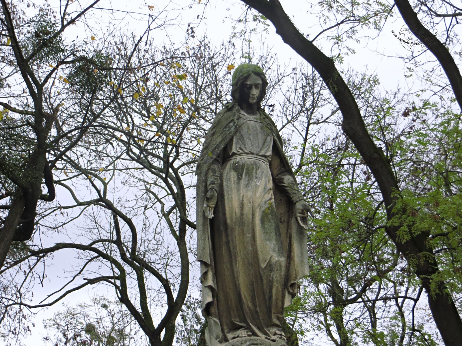 Cmentarz Łyczakowski, Lwów
