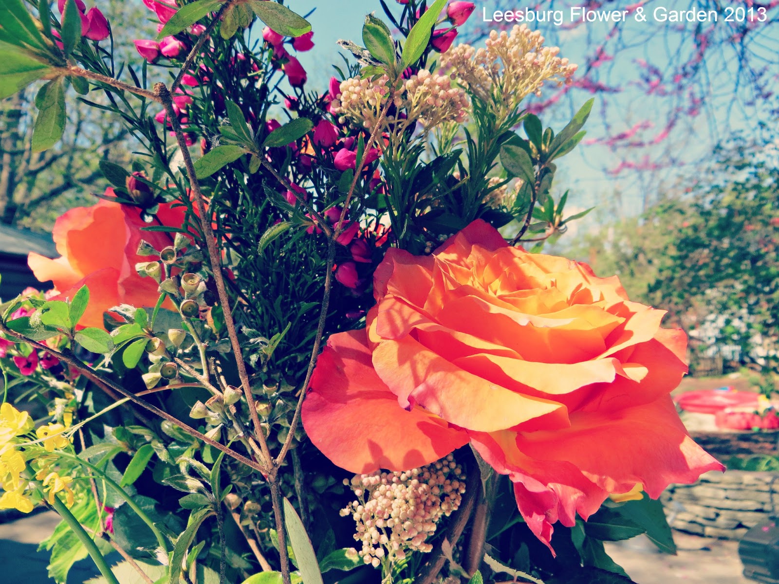 Leesburg Garden Show 2013