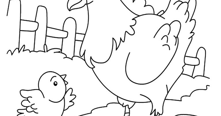 89 Gambar Ayam Untuk Diwarnai Anak Paud Terbaik 89 Gambar Ayam Untuk Diwarnai Anak Paud Terbaik