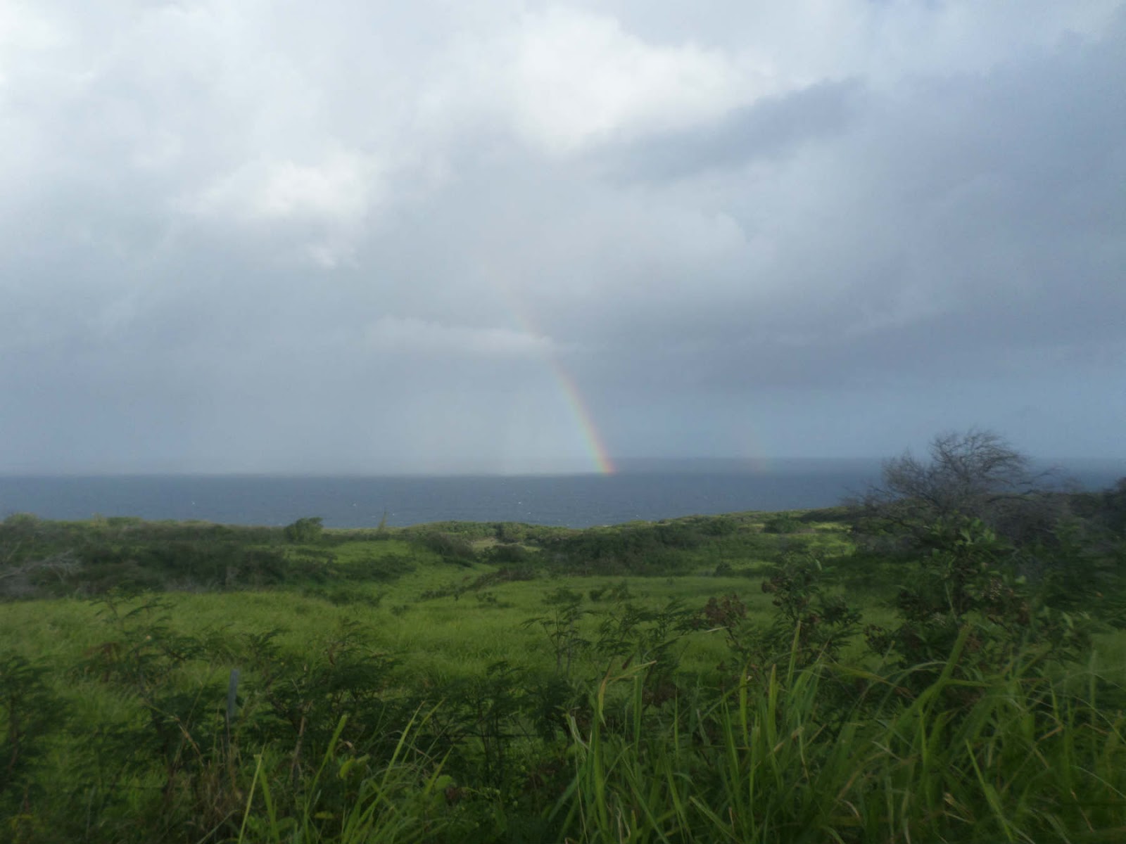 Como cruzar a (temida) Piilani Highway em Maui Renata Viaja...