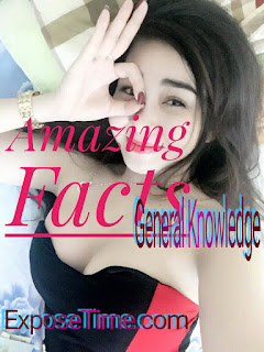 General Knowledge, Amazing Facts