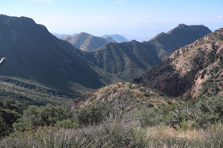 at big bend national park The amazing view from the highest point on Blue Creek Trail. It was a steep climb!