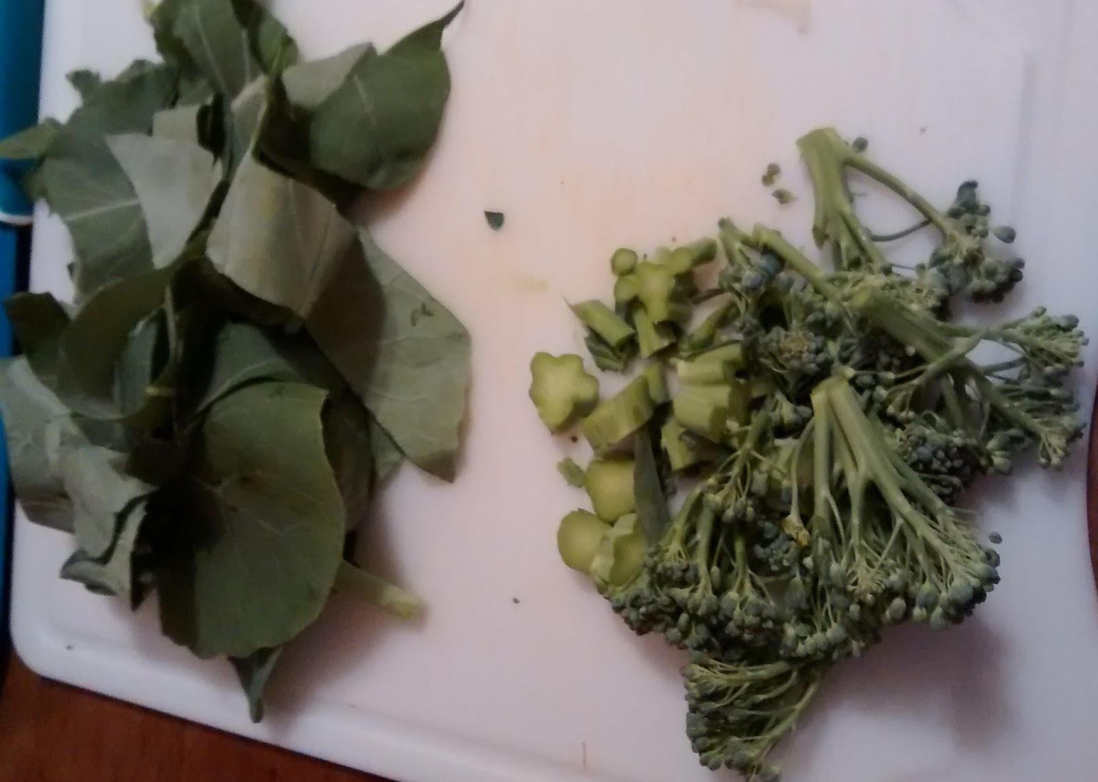 Captive Roots You Can (and should) Eat Your Broccoli Leaves!