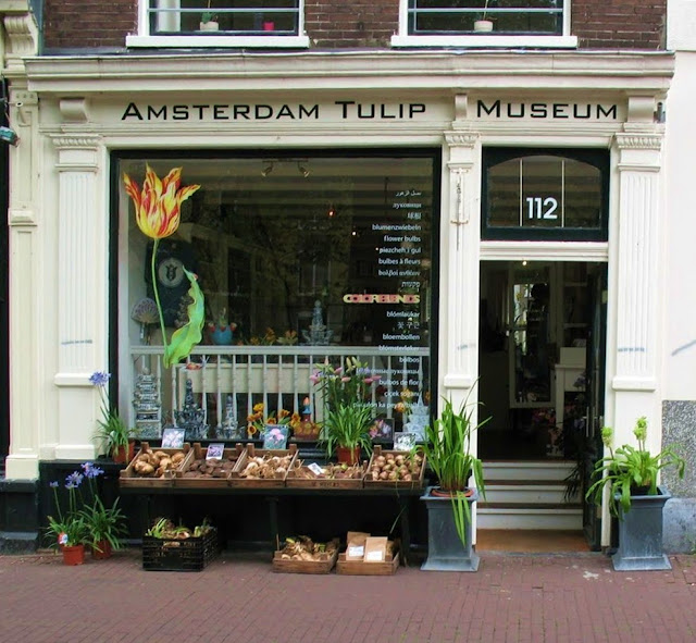 museo del tulipano Amsterdam