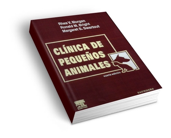 Cl%25C3%25ADnica+de+peque%25C3%25B1os+an