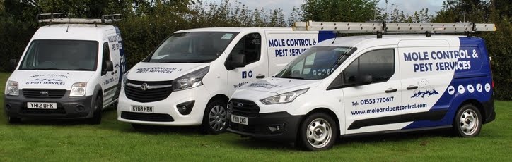 Mole Control & Pest Service LTD