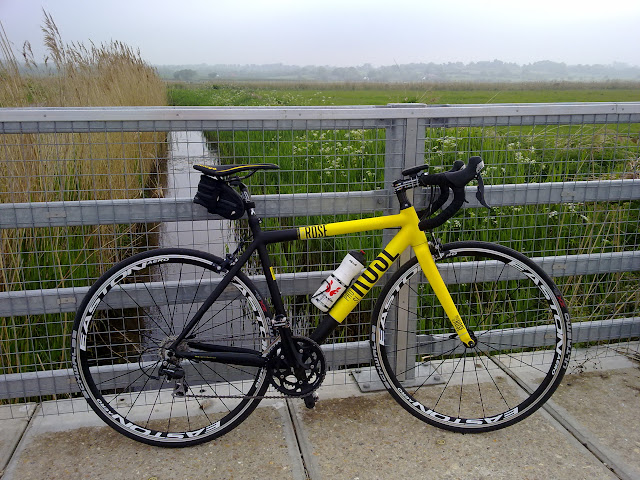 bicycles for 350 pound riders