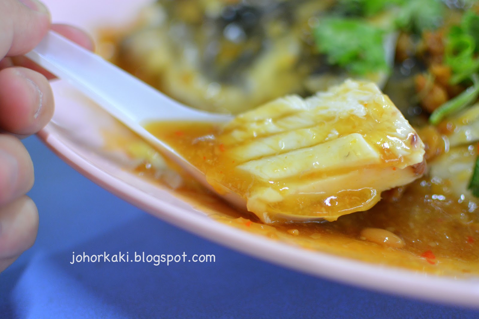 Chinatown Seng Kee 119 Famous Steamed Fish Head Singapore 成记驰名酱蒸松鱼头