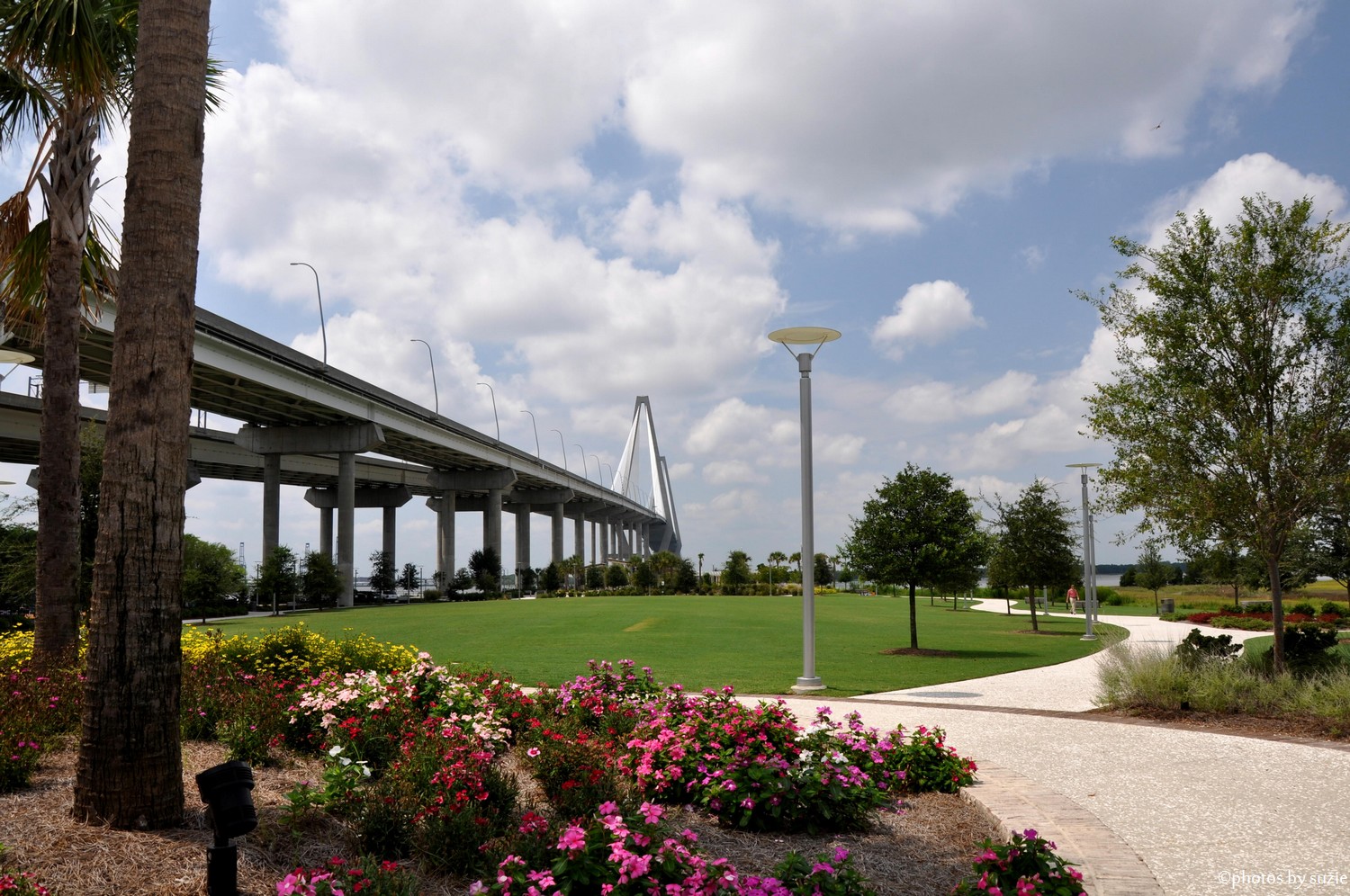 My View of Charleston and the Lowcountry Memorial Waterfront Park