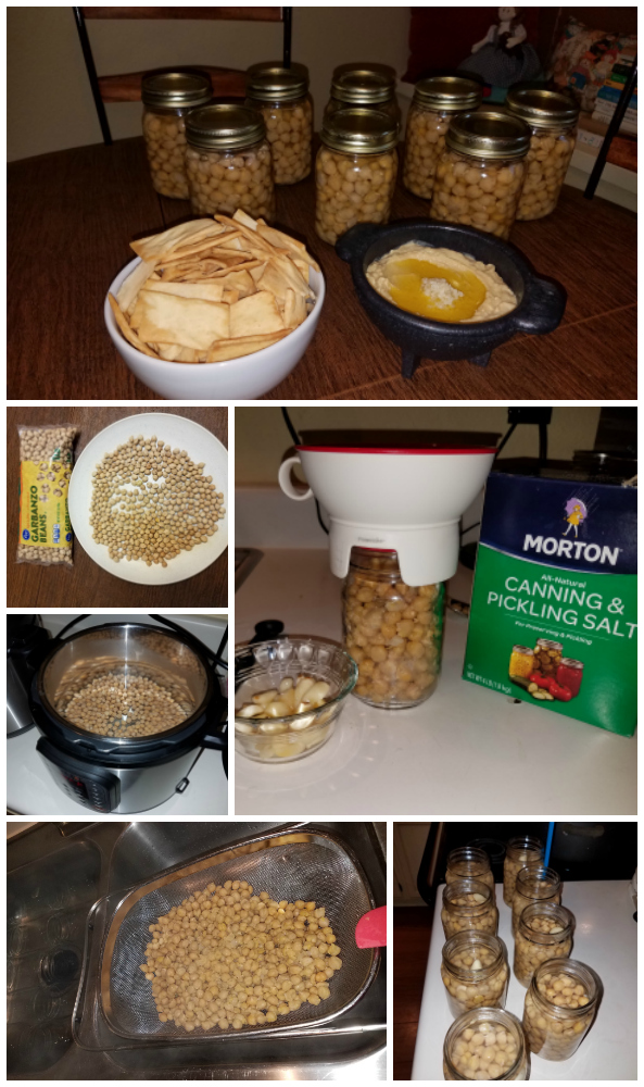 Texas Kirkwoods Canning Garbanzo Beans (Chick Peas)