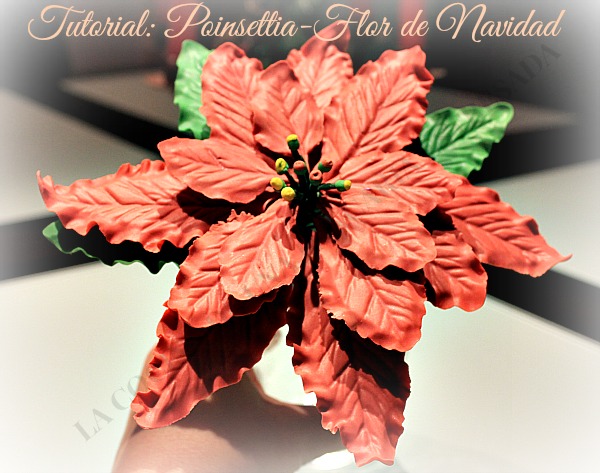 TUTORIAL: POINSETTIA-FLOR DE NAVIDAD GUMM PASTE