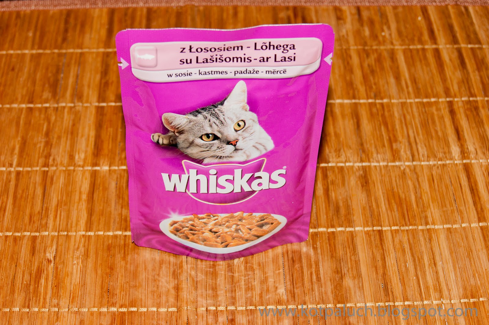 Przygody Kota Palucha Zakupy karmy dla kota