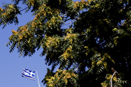 BILD: Αυτό είναι το νεο Μνημόνιο - Τρία χρόνια και 51 δισ ευρώ από τον ESM!  