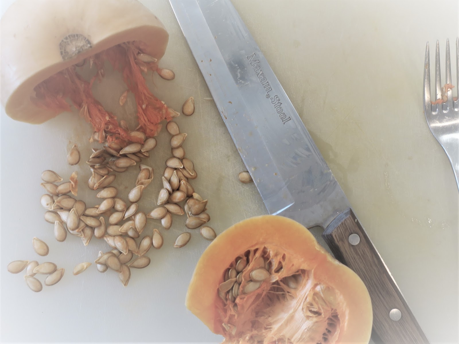 Living Rootless: Las Cruces NM 2019: Squash Body