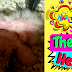 Baby Timneh African Grey Parrot—1 Week Old!
