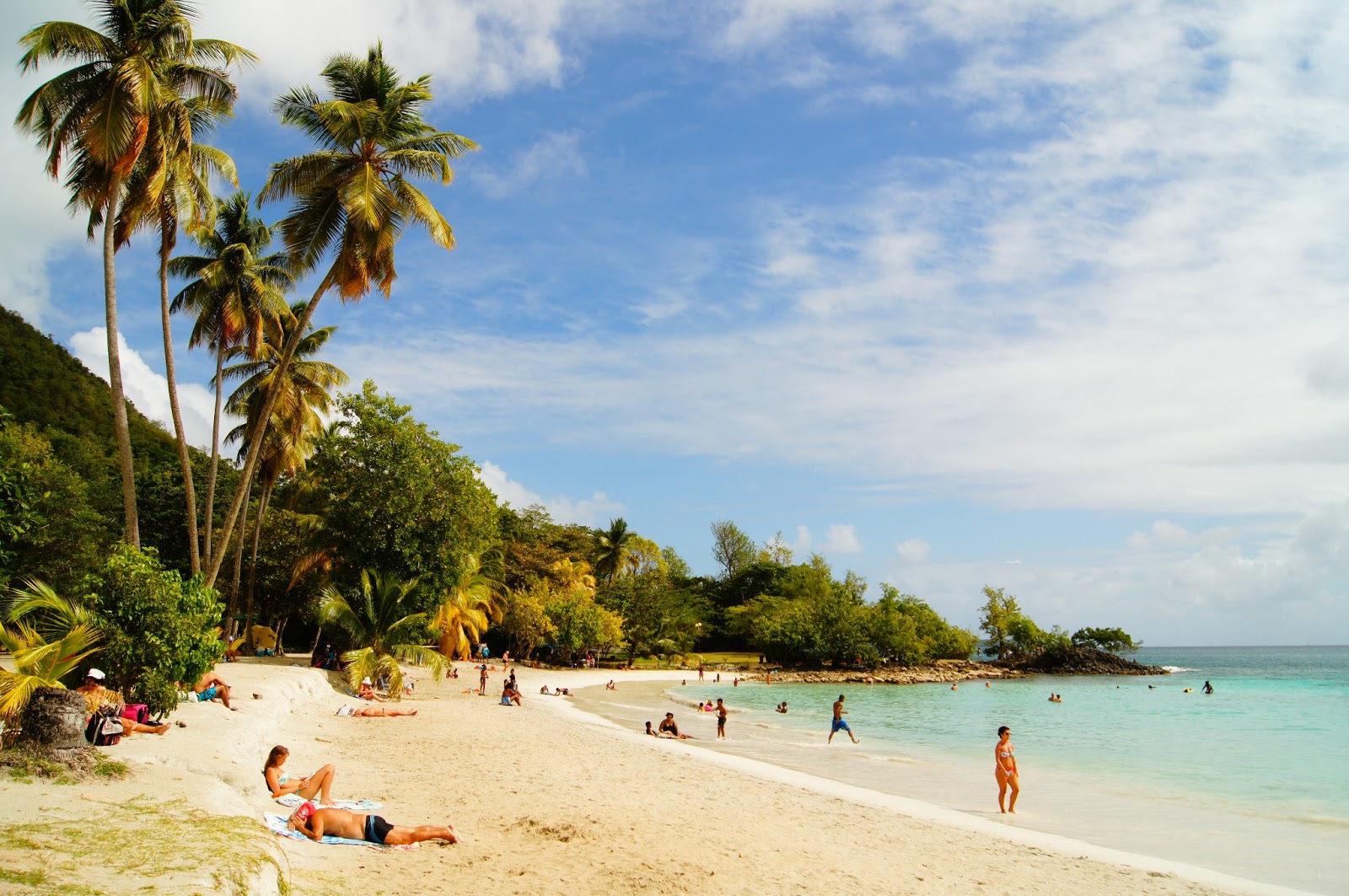 PETITS PARADIS Anse Figuier (RivièrePilote, Martinique)