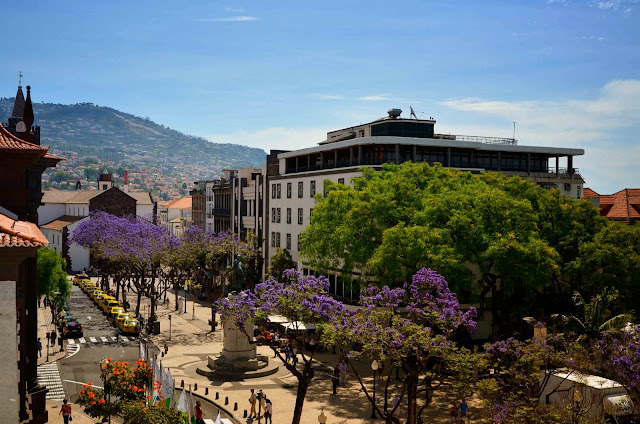 Blog Apaixonados por Viagens - Ilha da Madeira - Portugal - O que fazer - Ecoturismo