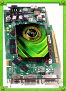 PCI 16 Video Card