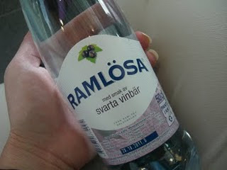 Raml%25C3%25B6sa%2BSvarta%2BVinb%25C3%25A4r - Lite vatten och mycket jobb = ingen träning