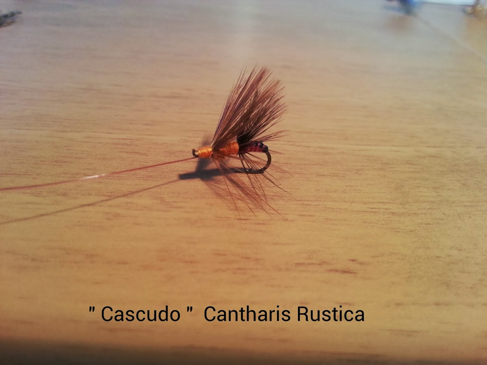 CASCUDO