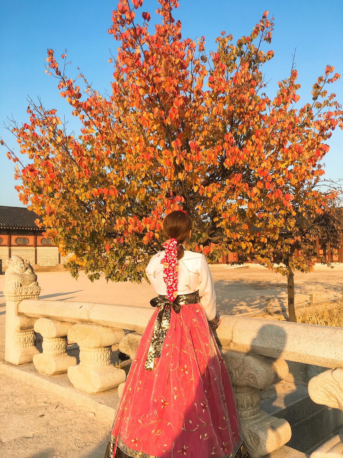 Day 2: Đến Hàn quốc là phải mặc hanbok - Nhung hay đi lung tung
