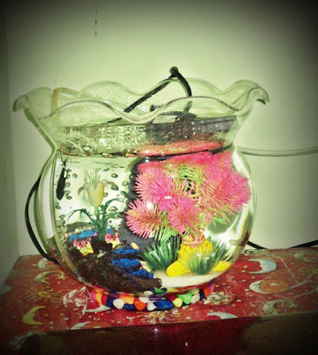 akuarium kecil