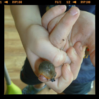 boy holding slug