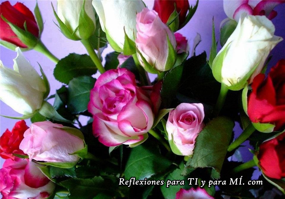 Buenos Deseos Para Ti Y Para MÍ Ramo De Bellas Rosas