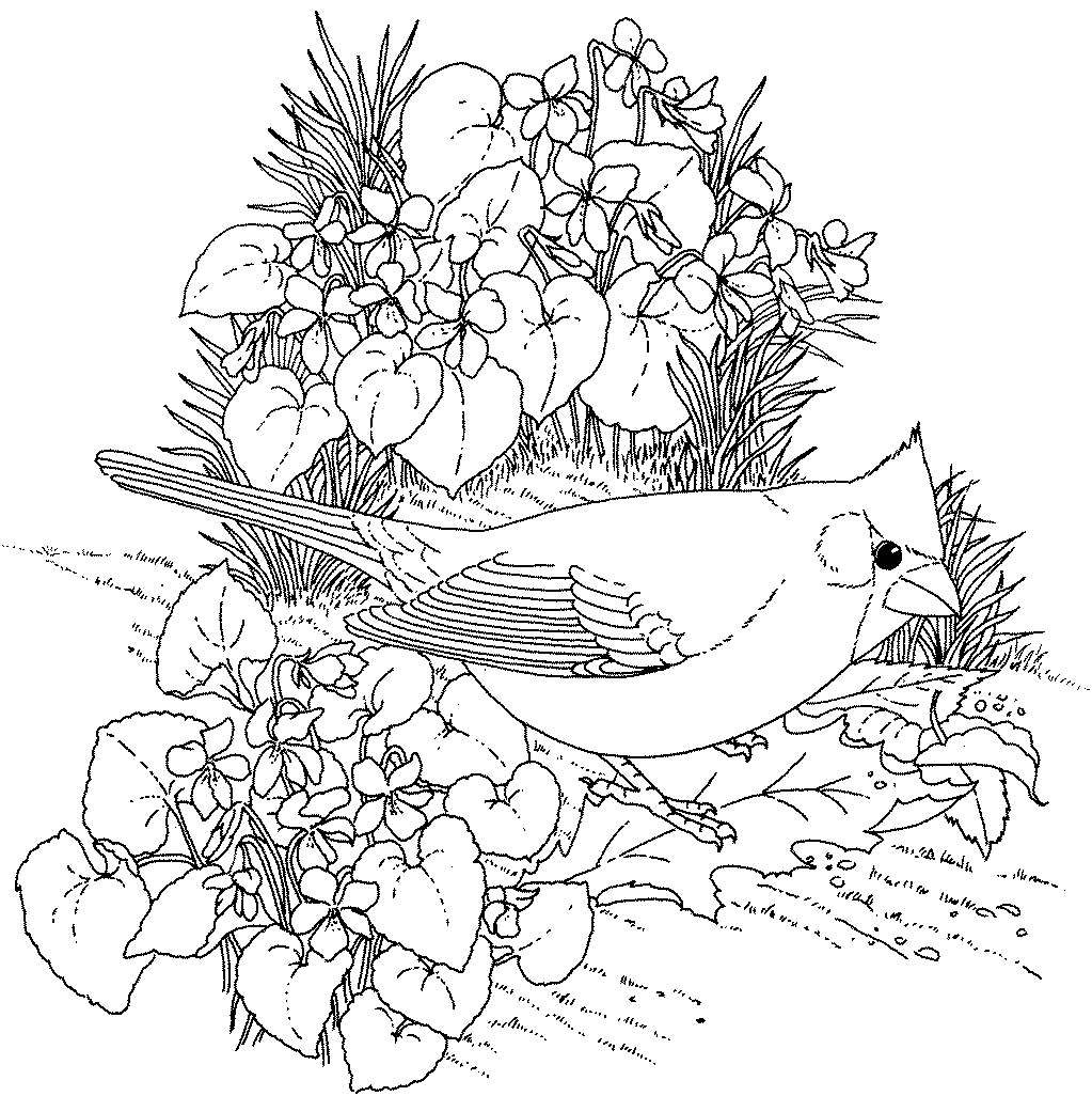 Flowers Coloring Pages | Minister Coloring