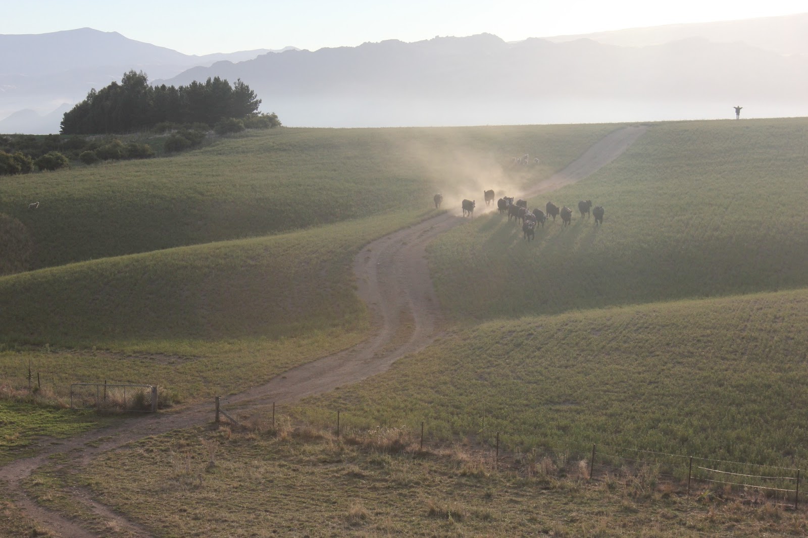 Granny's Got a Bike: Day 8: Smallburn Farm to Wanaka